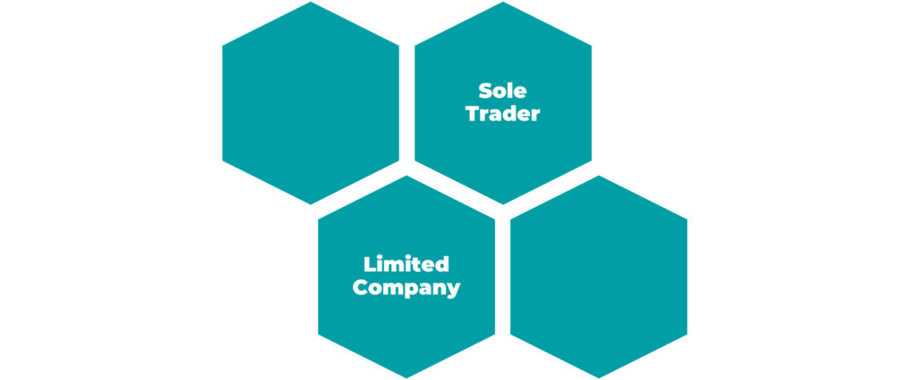 sole trader or limited company
